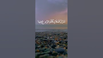 إن أنزلناه في ليلة القدر 🕊⚘حالات واتس قرآن كريم بصوت جميل 🤍