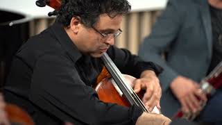 Michael Wolpe - Variations