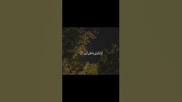 #احمد_النفيس #سورة_النمل #قران #اكسبلور #quran #راحة_نفسية