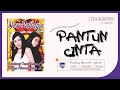 Pantun Cinta - Tya Agustin Feat Agung Juanda - New Pallapa (Official Music Video)