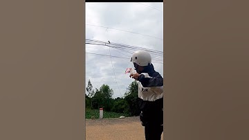 Ná cao su bem quá đã mắt chim rụng như sung_Slingshot Hunting Let