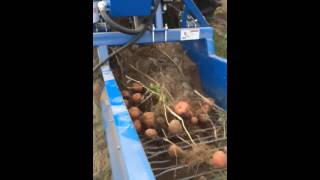 US small farm potato digger