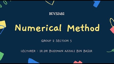 Numerical Assignment BEE32402