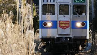 【2015年1月、秩父鉄道5000系電車5001編成】