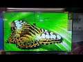 sony 65X75 Piture test