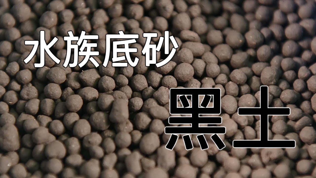 水族水草底砂怎麼選 什麼是黑土 黑土和一般土又有什麼差別呢 Youtube