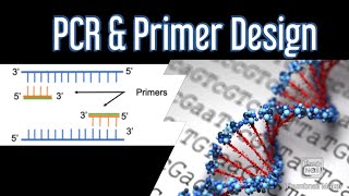 PCR and Primer Design | Important Considerations and Steps | Dr Abhimanyu Thakur