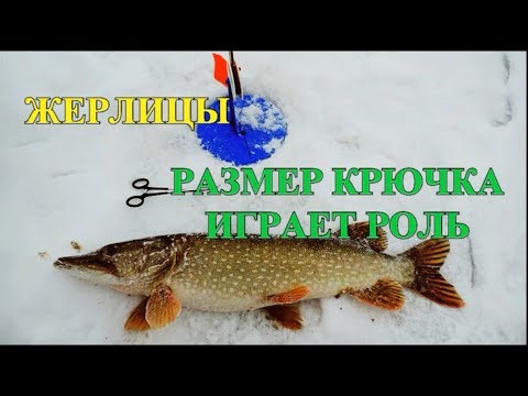 ЩУКА НА ЖЕРЛИЦЫ///РАЗМЕР КРЮЧКА ИМЕЕТ ЗНАЧЕНИЕ