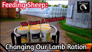 Feeding Sheep: Changing Our Lamb Ration  We Have A Problem! /August 30, 2022