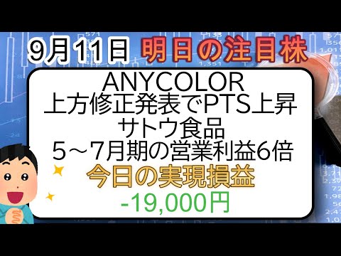 9月11日 米 ANYCOLOR 上方修正発表でPTS上昇 サトウ食品 5~7月期の営業利益6倍 #ANYCOLOR #サトウ食品   #JPYC #投資  #任天堂  #tiktok  #株