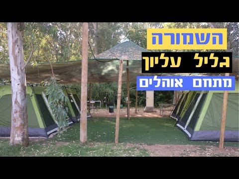 וִידֵאוֹ: איפה השמורה המורדובית? שמורת טבע מדינת מורדובי על שם P. G. Smidovich: היסטוריה, תיאור, תמונה