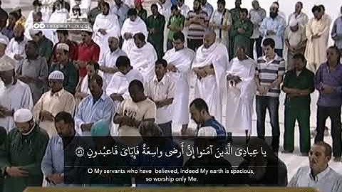 تلاوة من سورة العنكبوت للشيخ عبدالله الجهني .