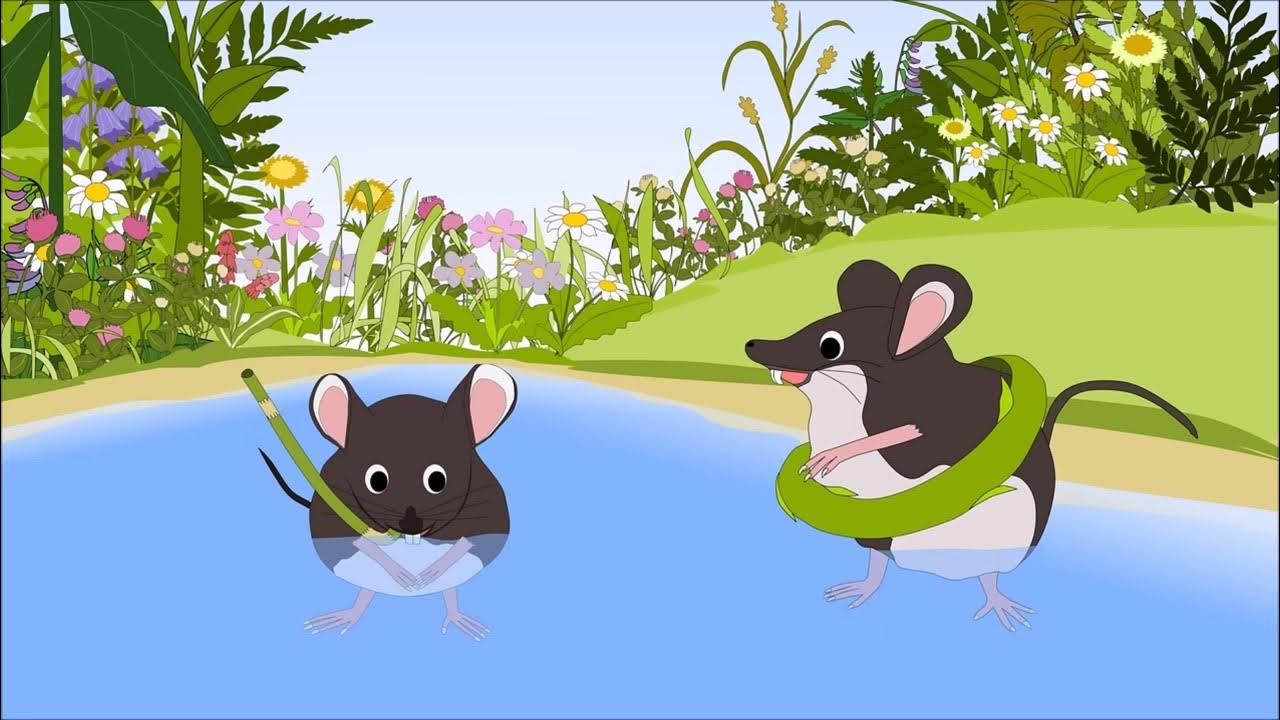 Мышь в воде. Мышка плавает. Мышка с водой. Мышь плывет. Мышонок плавает в воде.
