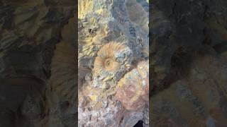 ¿Quién dijo que la prehistoria era a blanco y negro? 💥