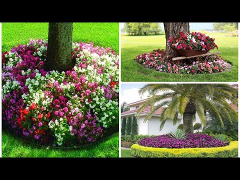 Vídeo: Com Decorar Una Jardinera Amb Fils