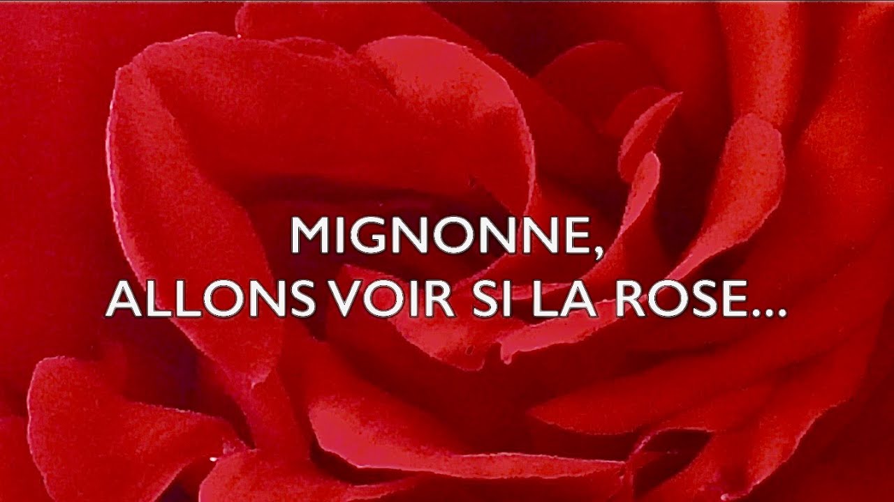 "Mignonne, Allons Voir si la Rose" Ensemble MUSICA DOMESTICA Direction