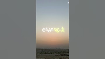 اجمل تلاوة بصوت القارئ عبدالله شعبان #القرآن_الكريم