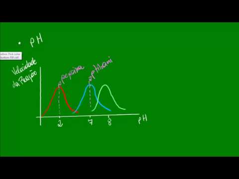 Vídeo: Como Amarrar Uma Proteína