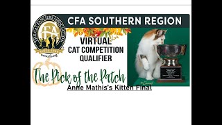 Anne Mathis's Kitten Final