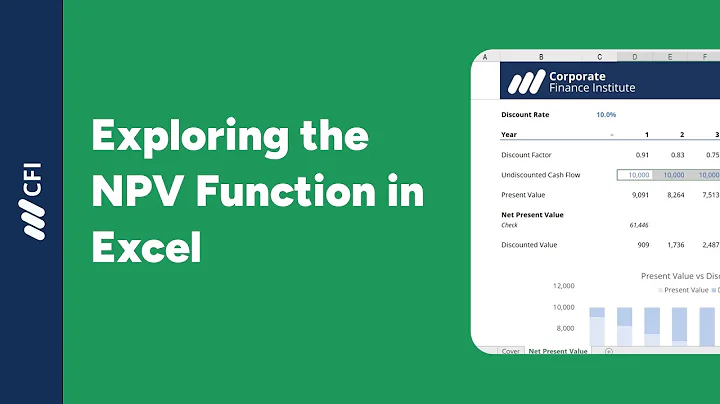 How to use the NPV Function in Excel