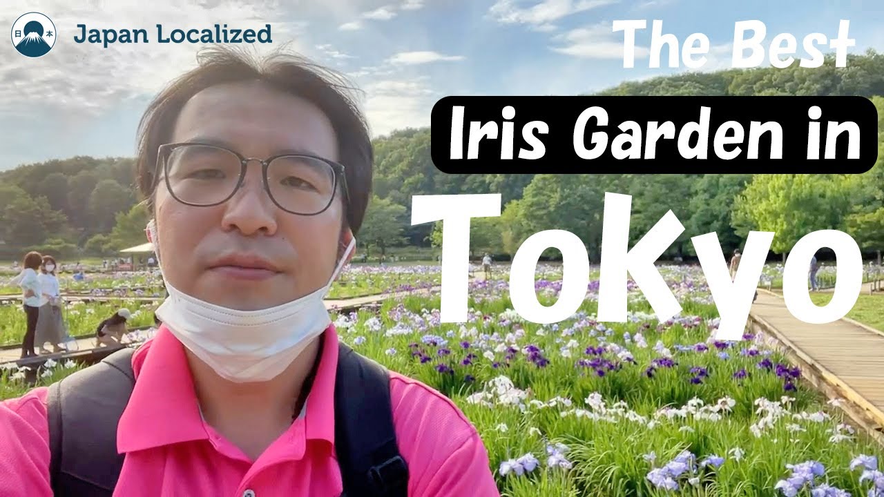Iris Flower Garden In Tokyo What To Do In Tokyo Travel Idea In Tokyo June 東村山北山公園花菖蒲 Youtube