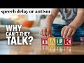 The Hidden Reason Behind Your Child's Speech Delay| Speech Therapy At Home| Best speech therapist