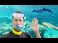 Discovery Cove Orlando Florida | My First Time Here | Snorkeling With Stingrays & Tropical Fish