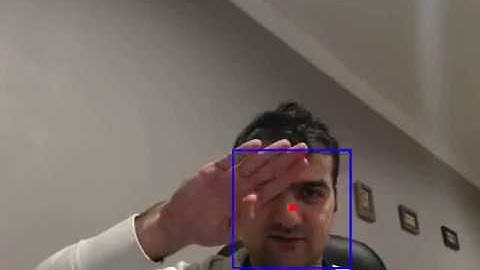 How Kalman filter improves face detection by Amin Emrani
