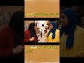 اش داك تهضري مع راجلها ههه الذكاء اكسبلور كوميديات ضحك Veo3 تعلم ترند مسلسلات 4000ساعة اش داك تهضري مع راجلها ههه الذكاء اكسبلور كوميديات ضحك Veo3 تعلم ترند مسلسلات 4000ساعة