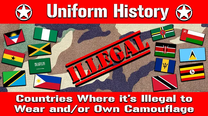 21 Countries Where it's Illegal to Wear or Own Camouflage - DayDayNews