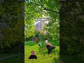 #детство #ностальгия