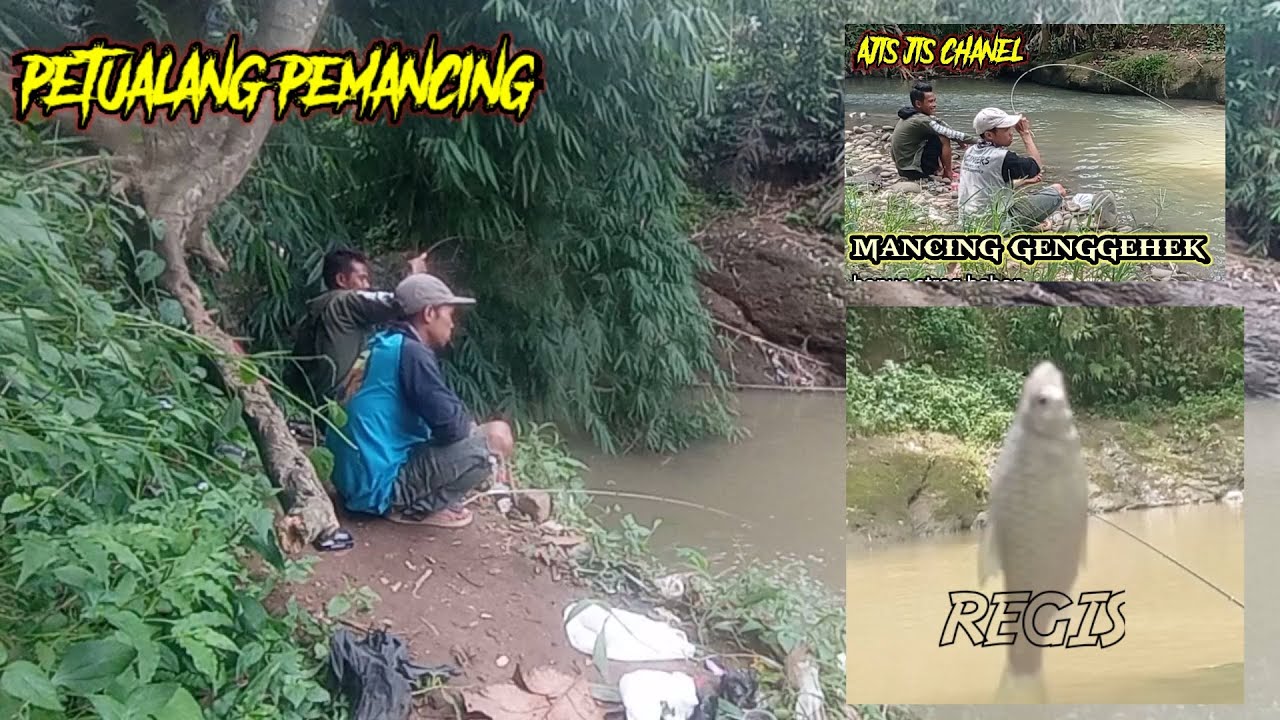 Mancing ikan regis /genggehek fishing 
