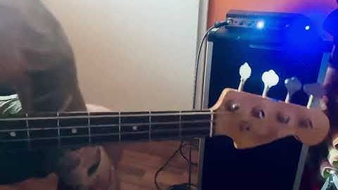 Sourceaudio C4 quick test