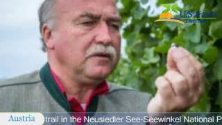 Wein & Landhaus Willi Opitz - Illmitz Hotels, Austria