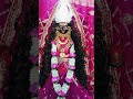 माँ मरघट कालिका जी के दर्शन #Guru#maa#ka#ladla#kalka#navdurga#darbar#roorkee #viralvideos
