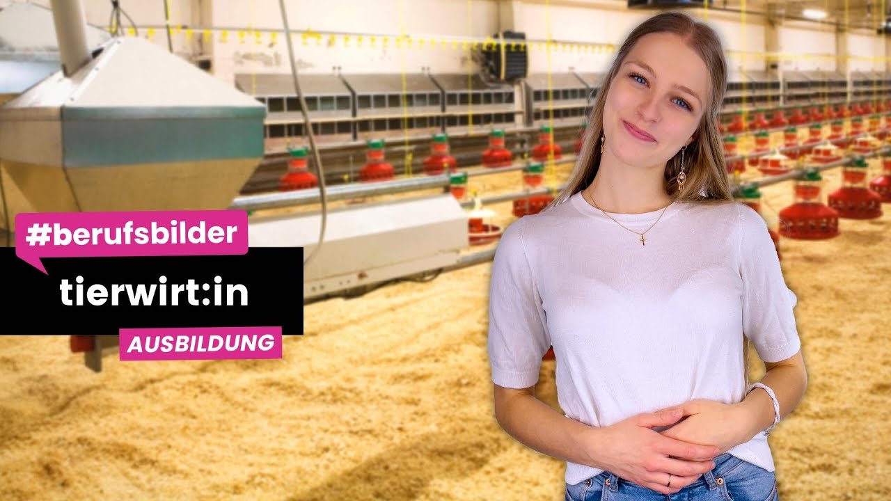 Tierwirt:in - Ausbildungsberufe erklärt