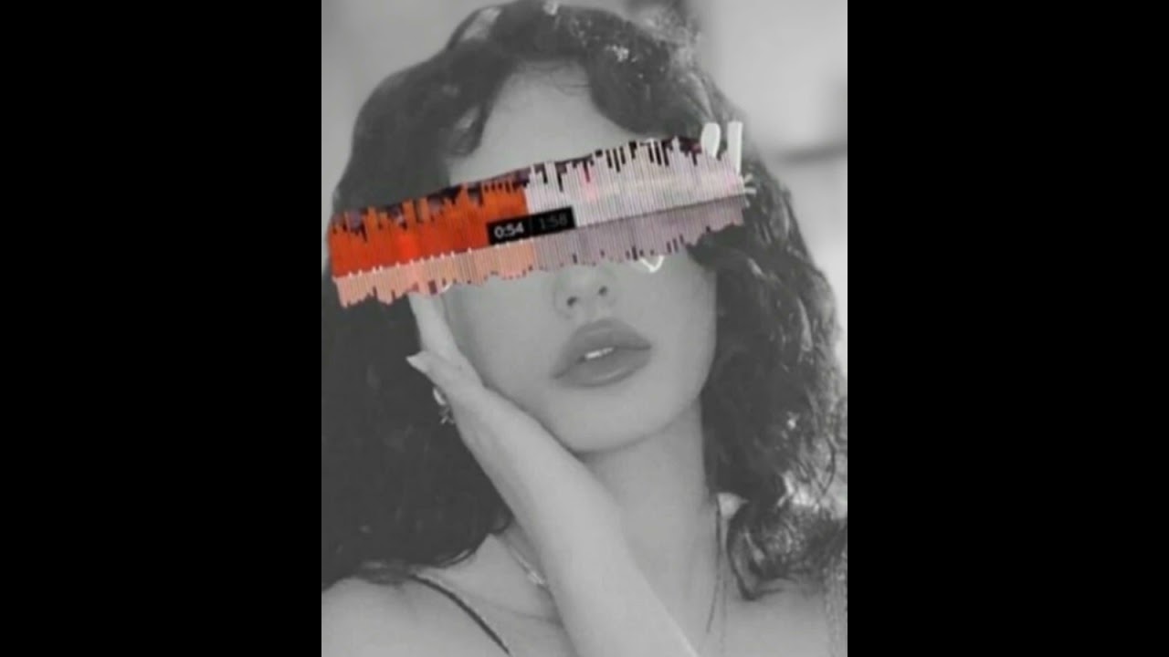 كامل يوسف نوارة شيلي تاجك مايلزم تاج براسك @kamelyosef