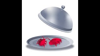 TryHackMe -  CTF Silverplatter Walkthrough | Easy