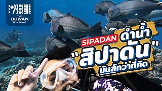 [ Full Review ] รีวิวดำน้ำสิปาดัน มันกว่าที่คิด - Scuba Diving at Sipadan - Buwan Dive Resort