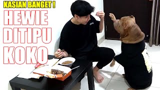 Cute Pitbull Dog And Steak | Try Not To Laugh