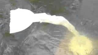 Prueba WhaleTailTurbine en corriente fluvial de superficie