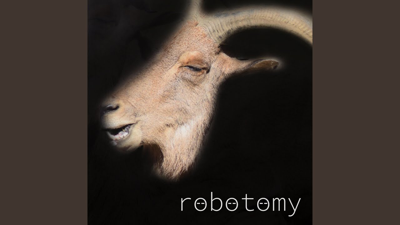 Ver Execution no YouTube Ver Execution no YouTube