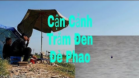 Câu Lục | Cận Cảnh Trắm Đen Và Chép Đè Phao Khi Quấn Ổ