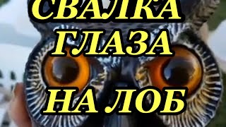 АВСТРАЛИЯ ШОК БЕСПЛАТНЫЙ АНТИКВАРИАТ ТОННЫ ТЕХНИКИ МЕБЕЛЬ НА СВАЛКЕ ШПЕРМЮЛЬ НА УЛИЦЕ ДИКАЯ ПРИРОДА