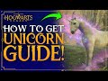 Hogwarts legacy  how to get unicorn  how to tame  catch unicorns  unicorn den location guide