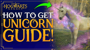 Hogwarts Legacy - How To Get UNICORN - How To Tame / Catch Unicorns - Unicorn Den Location Guide