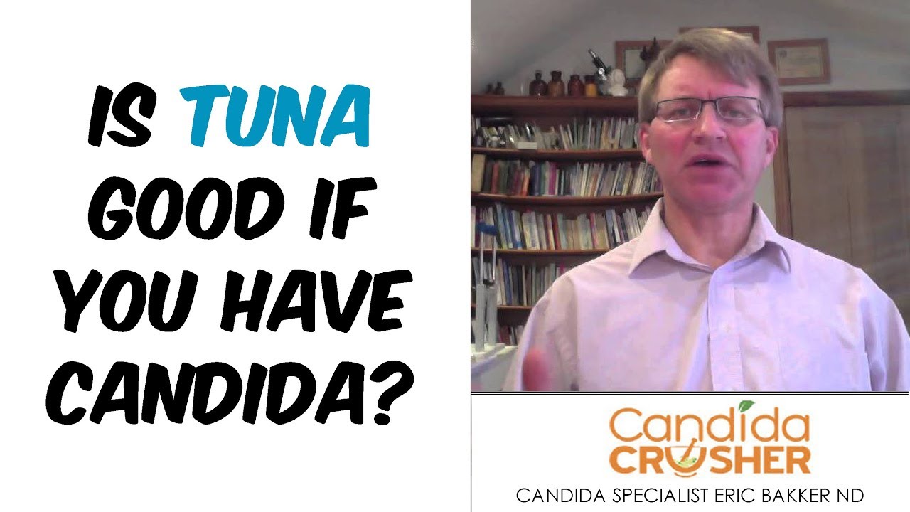 Is Tuna Good If You Have Candida? YouTube