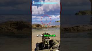 Halo has WHAT?