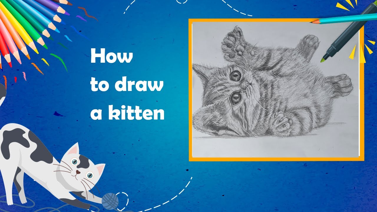 how-to-draw-a-kitten-youtube