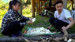 Download Lagu Farm Life: Harvesting Giant Cassava, Kind Man, Single Mother Explores Ancient Life Delicious Food MP3